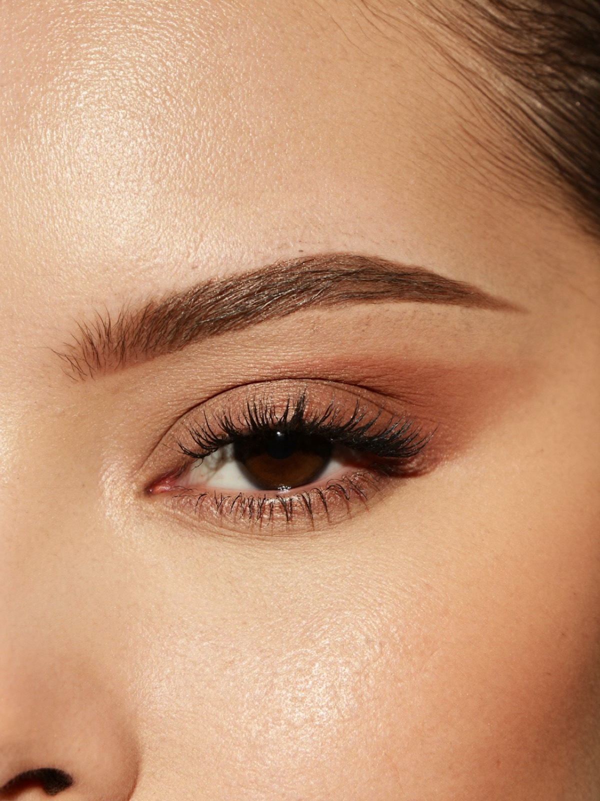 Macro close-up of a perfectly groomed eyebrow and eye with long lashes