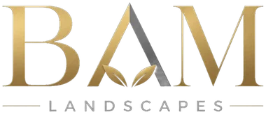 BAM Landscapes