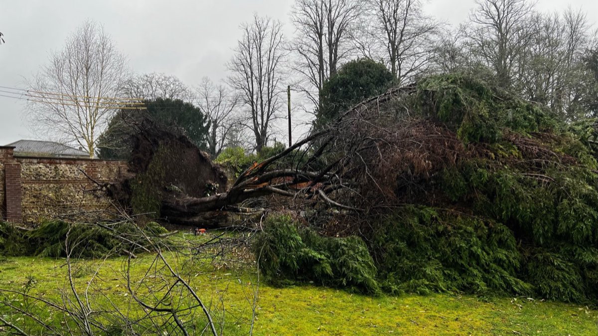 Storm Damage