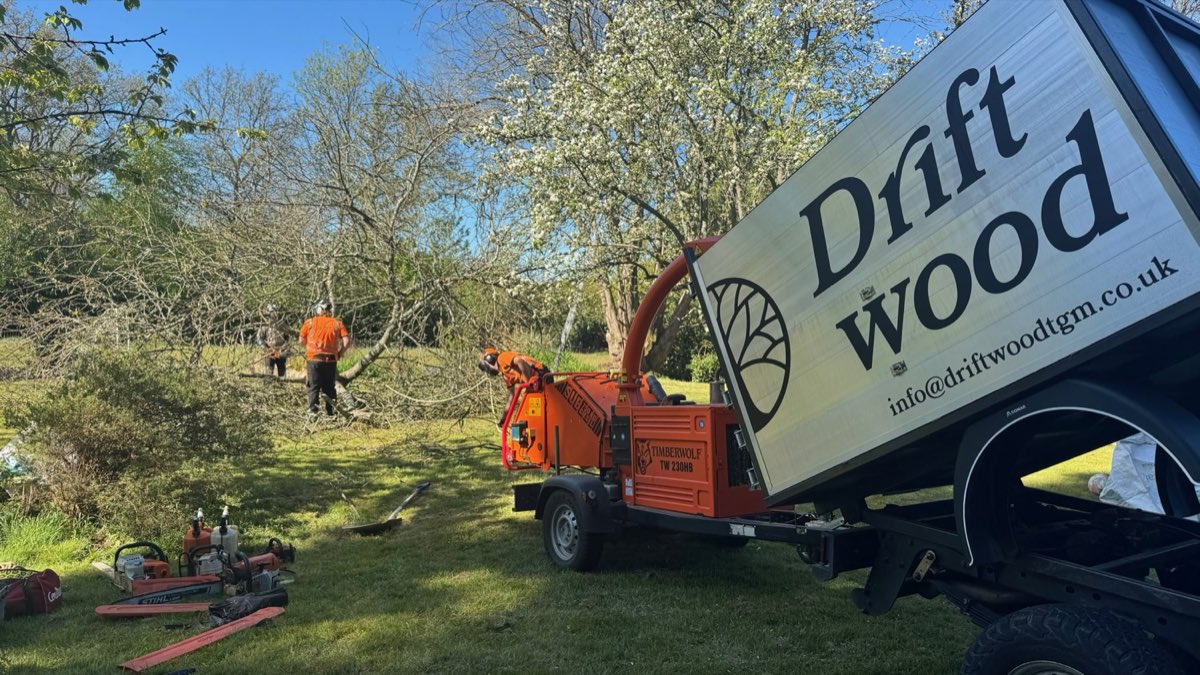 Driftwood Arborists truck on site during tree work